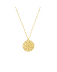 Sand Dollar with Diamond Medallion Necklace